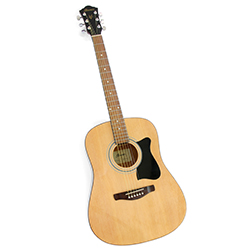 Acoustic Guitar