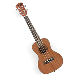 Concert-Size Ukulele